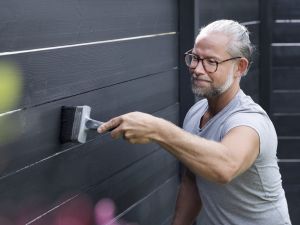 PLATINUM Четка за фасада с капак 100 мм