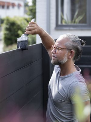 PLATINUM Четка за фасада с капак 100 мм