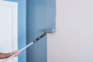 PLATINUM Валяк за средно гладка повърхност 18 cm -MICMEX