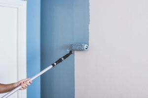 PLATINUM Валяк за средно гладка повърхност 10 cm - MICMEX