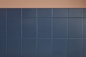 LUJA  Ceramic Tiles A 0,9L Латекс за керамични плочки