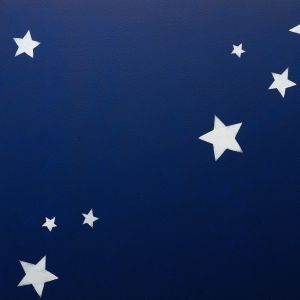 TAIKA GLOW Фосфоресцентна боя 0,33 L