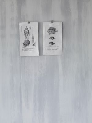 TUNTO FINE AP-BASE 2,7 л Мазилка-боя фина