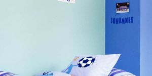 MAGNETIC PAINT Магнитна боя  0,5 L