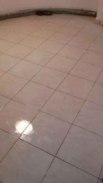 DILUNETT - СМИВКА ЗА БОИ 1 L