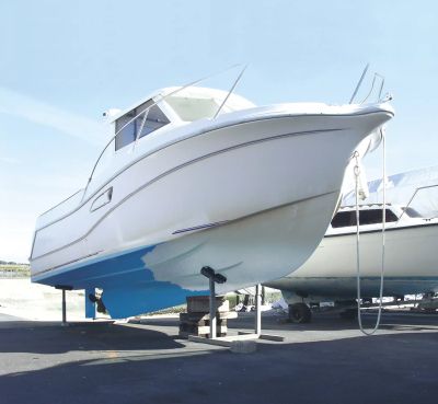 DILUNETT - СМИВКА ЗА БОИ 2,5 L