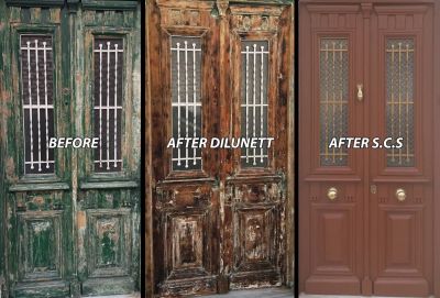 DILUNETT - СМИВКА ЗА БОИ 2,5 L